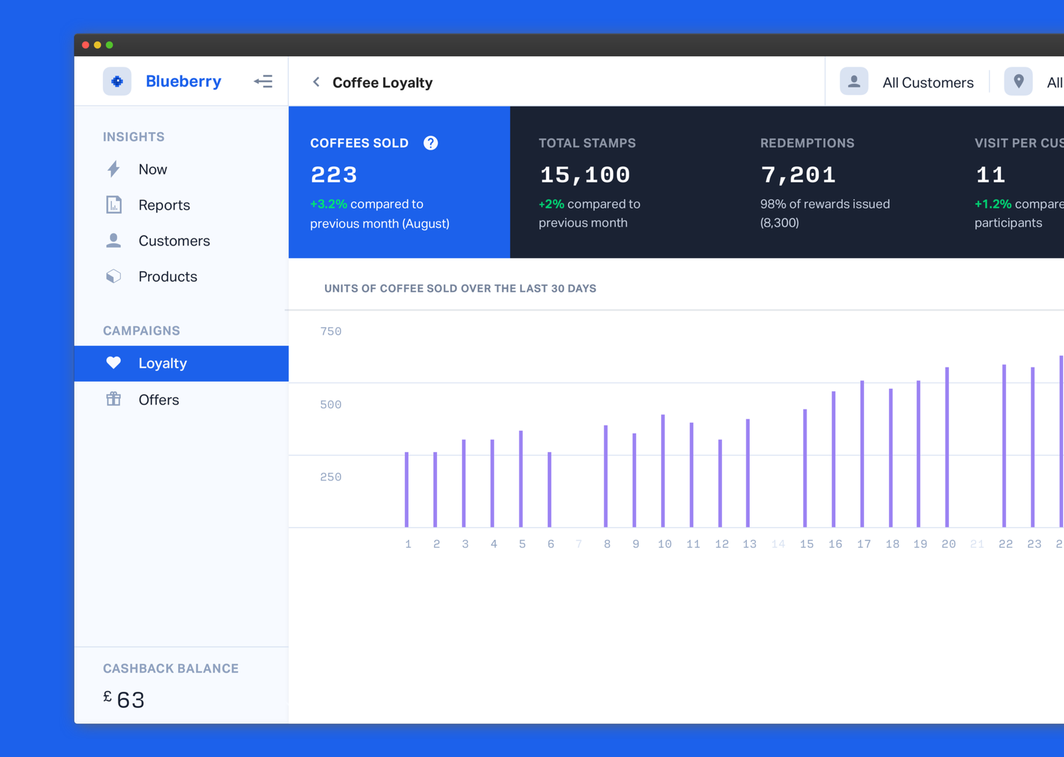 Detailed view of the performance of a loyalty program